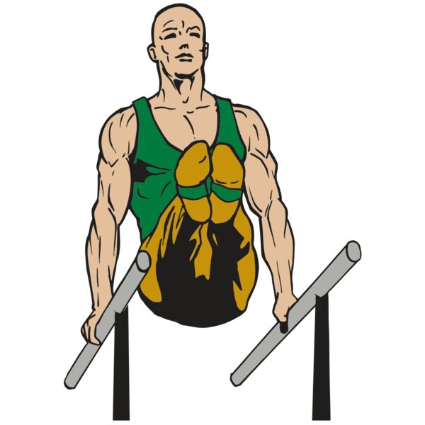 AR GYM 15 R Thumbnail