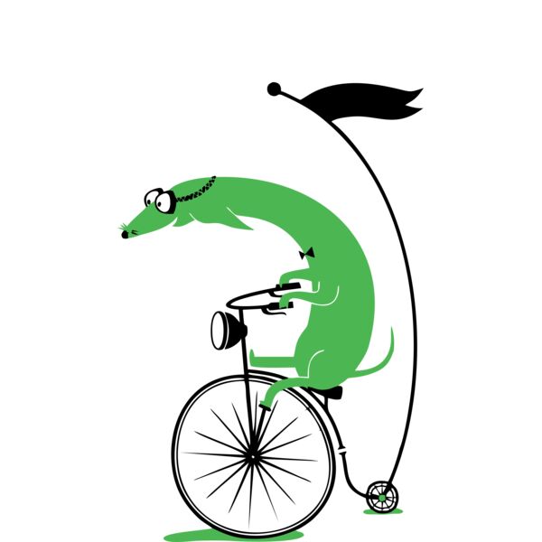 Bicycle   05 Thumbnail